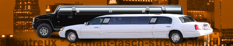 Private transfer from Montreux to Zermatt with Stretch Limousine (Limo)